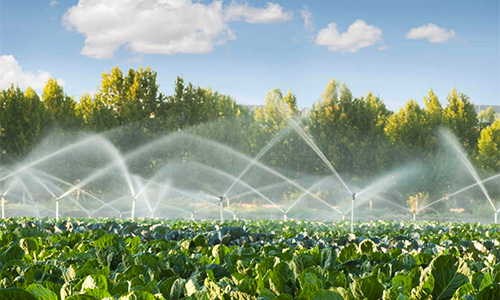 Irrigação